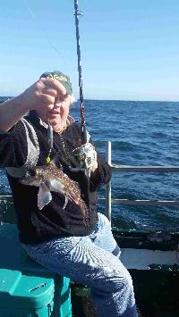 Whale Watching Depoe Bay Ratfish